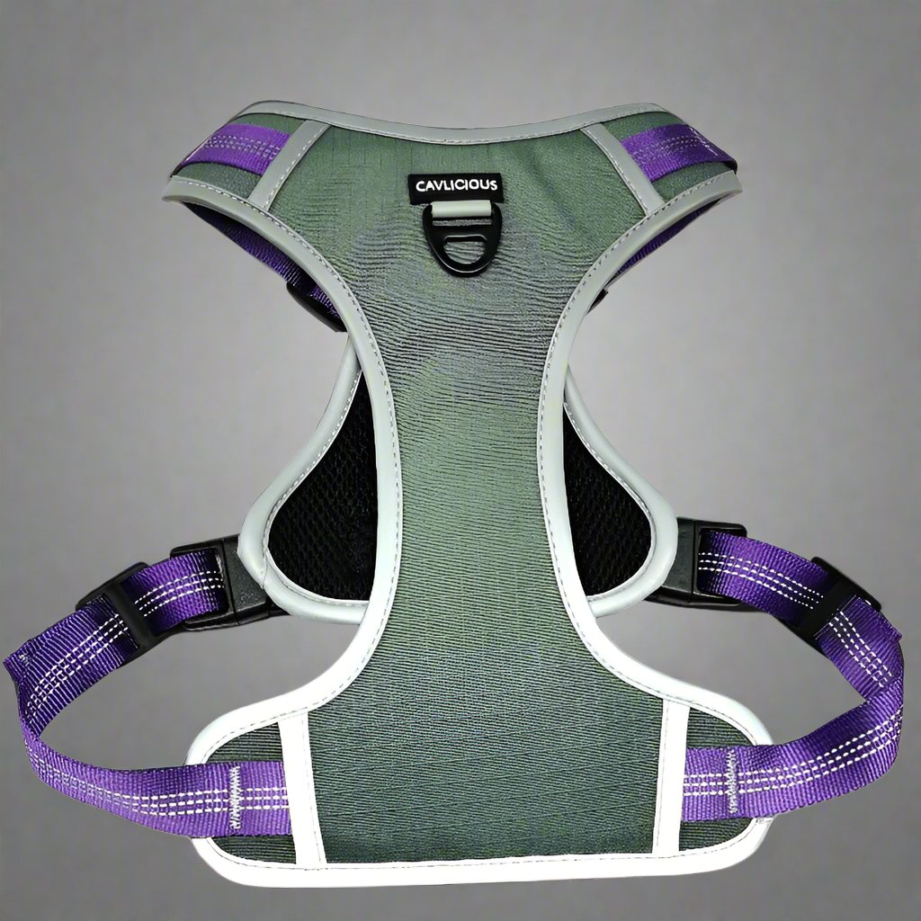 sturdy tactical dog harness with two D-rings and a handle on the back. Nylon webbing with soft neoprene underlay.