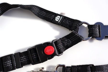 Dog Car Safety Belt - Cavlicious