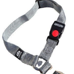 Dog Car Safety Belt - Cavlicious