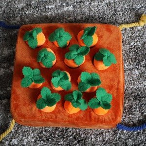 Carrot Puzzle Cavlicious Cavlicious EUR Belgium without extra squeeking carrot without extra squeeking carrot with extra squeeking carrot 93609398725462 93609400981078