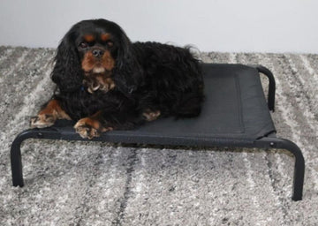 Ergonomic Dog Stretcher, relieves anxiety, easy to clean, easy to assemble, super strong: can carry up to 100kg.