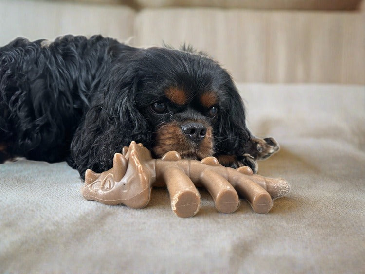 dog chew toy with bacon taste