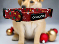 beautiful christmas collar with detachable bow.