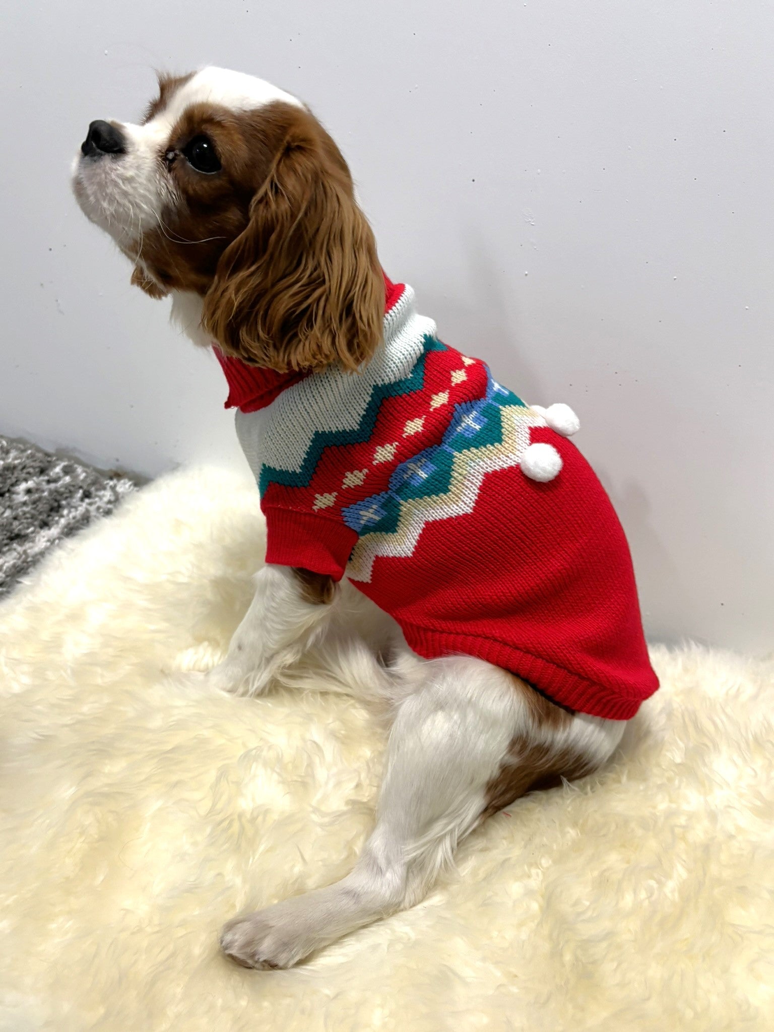 Christmas Sweater