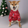 dog wearing a chrismas sweater seen from the front