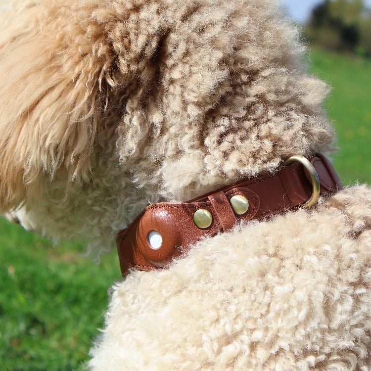 DELUXE Leather Air Tag Collar - Cavlicious