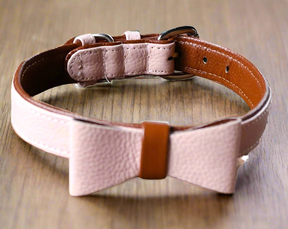 DELUXE Leather Collar - Cavlicious