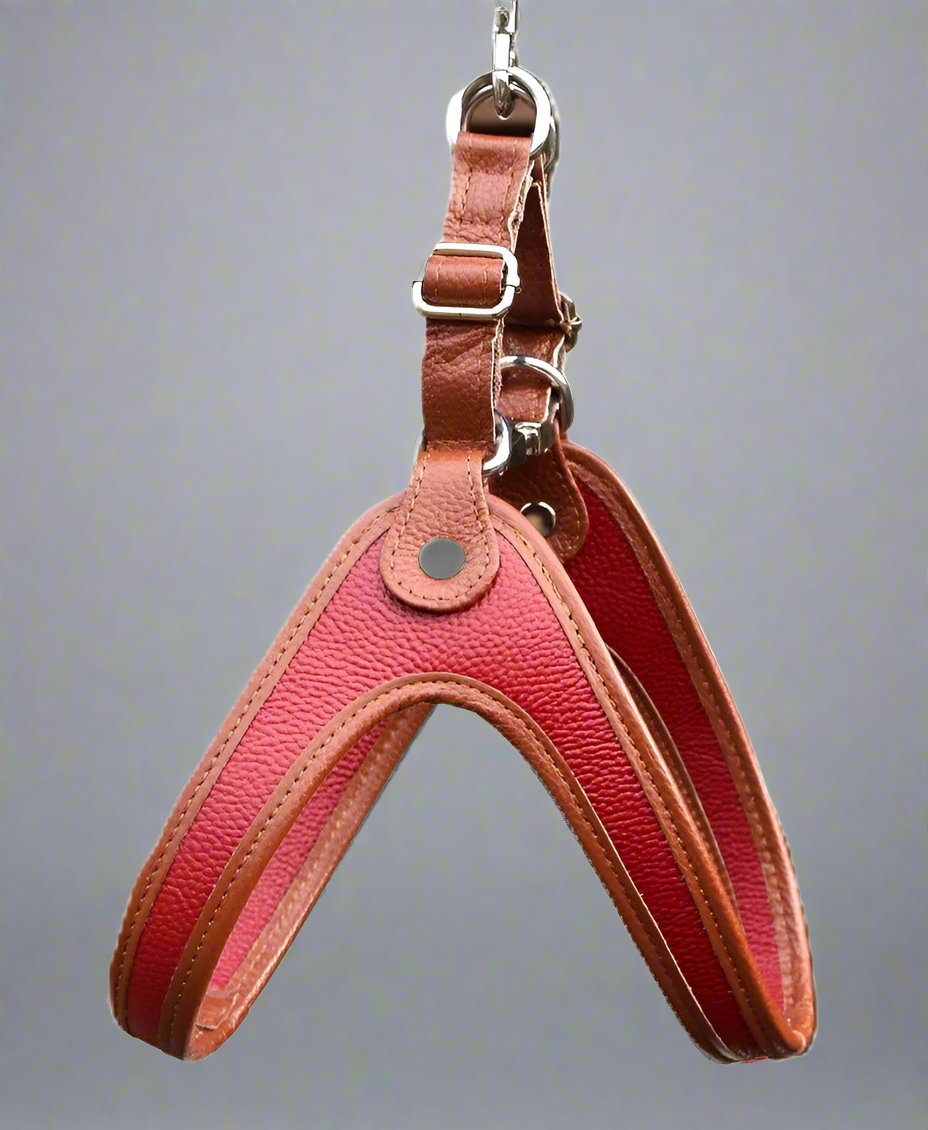 DELUXE Step In Harness - Cavlicious