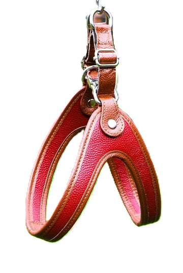 DELUXE Step In Harness - Cavlicious