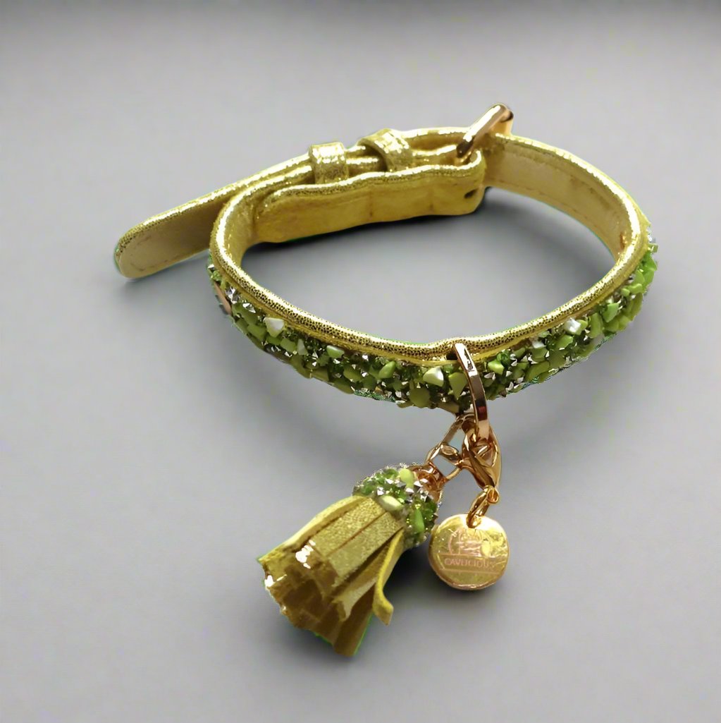 green dog collar with crystals