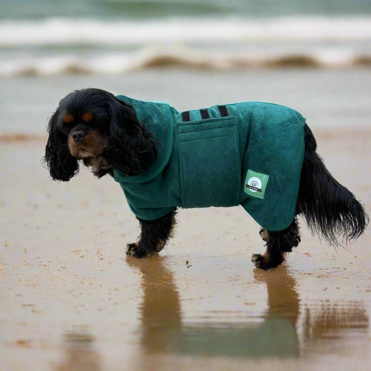 Dog Bathrobe - Cavlicious