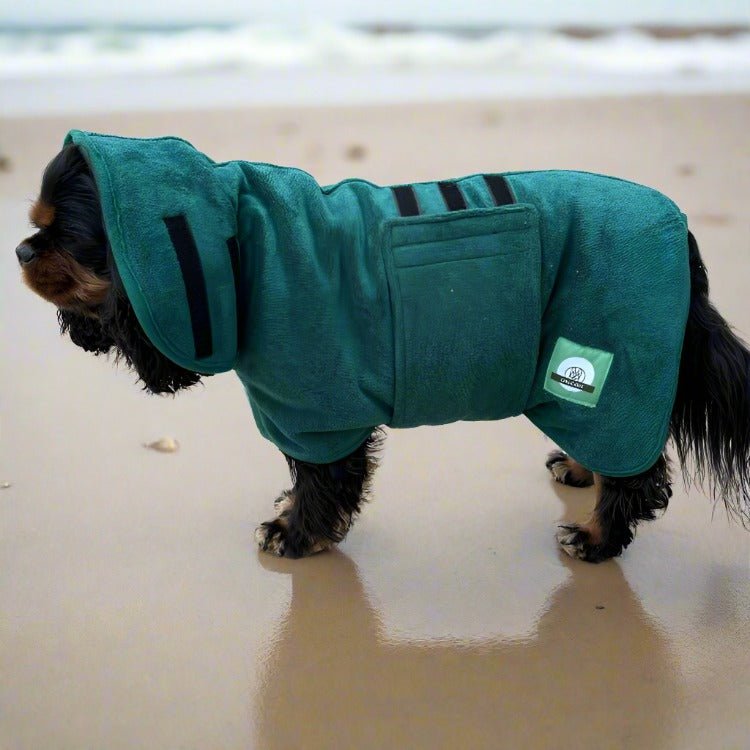 Dog Bathrobe - Cavlicious