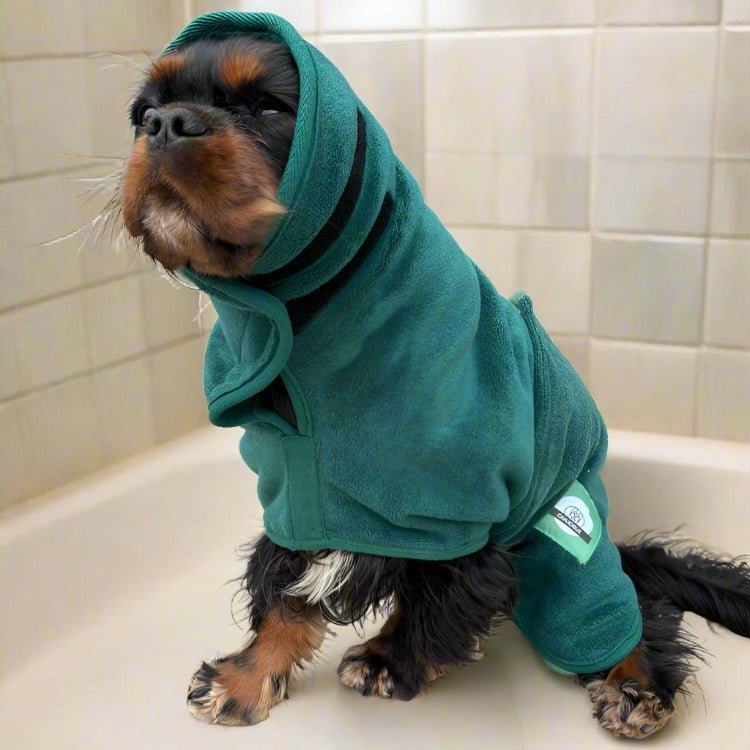 Dog Bathrobe - Cavlicious