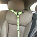 dog Car Safety Belt - Cavlicious shown in car