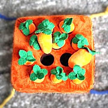 Carrot Puzzle