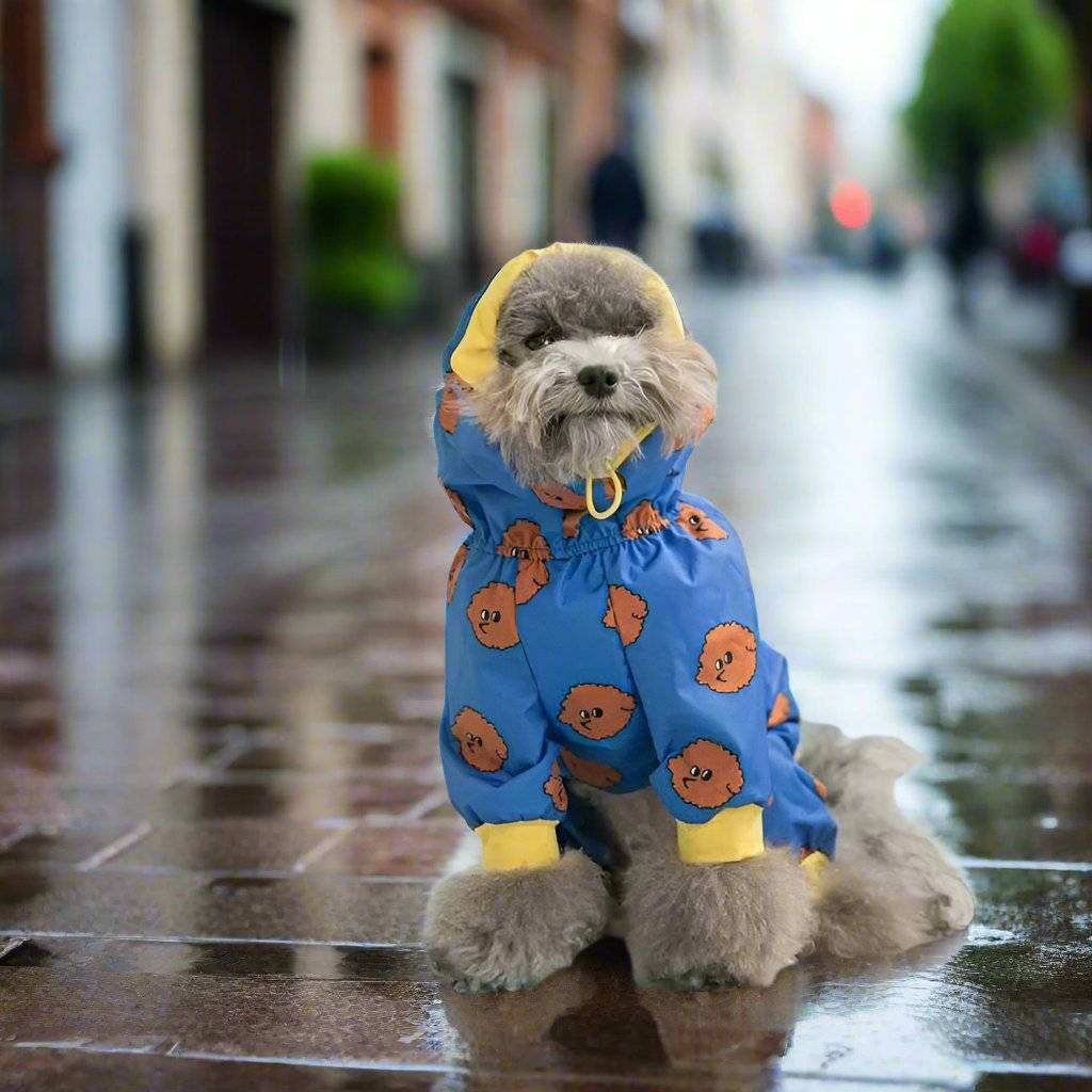 cute dog with a blue raincoat