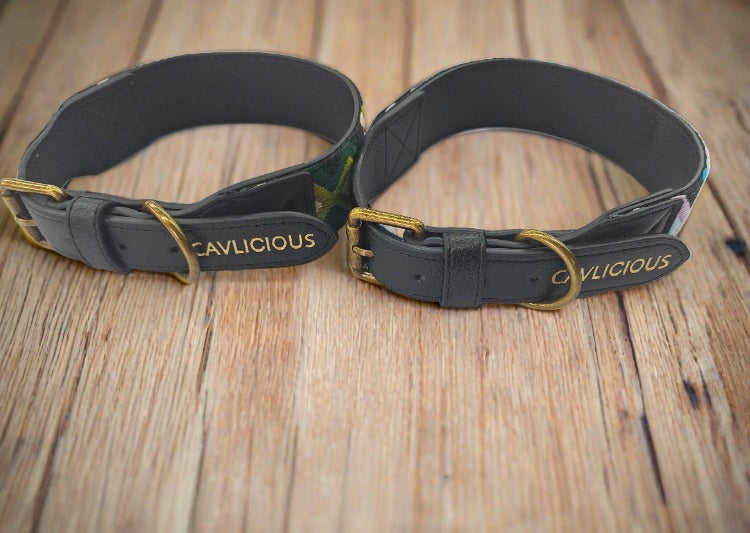 ETHNIC Vegan Collar and Leash Set