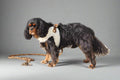 dog wearing a step in harness made from genuine lambskin, with leopard details