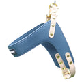 VEGAN Bundle Harness and Leash Cavlicious Cavlicious EUR Belgium Blue XS Blue / XS Blue / S Yellowgreen / XS Yellowgreen / S