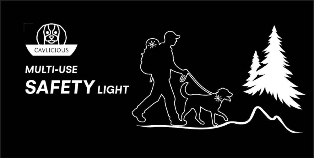 dog light, usb chargeable, led, waterproof, very sturdy