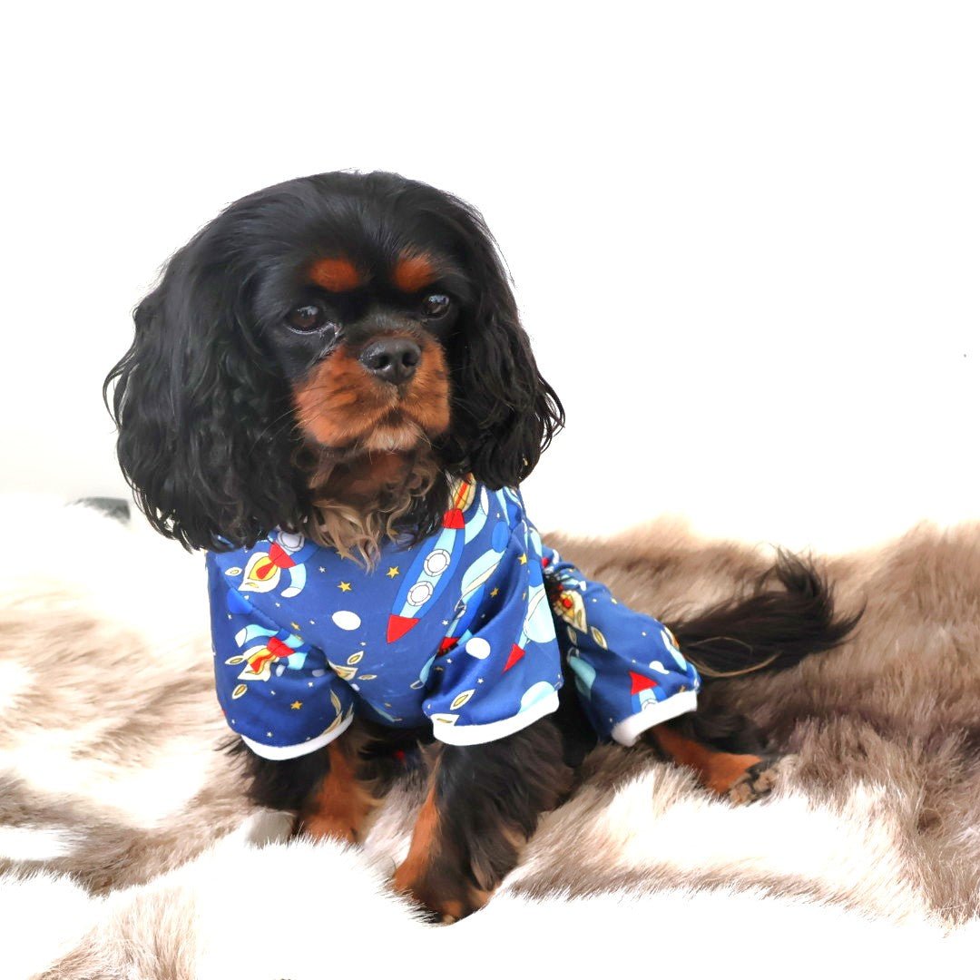 a cute dog wearing pajamas