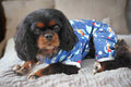 a cute dog wearing pajamas