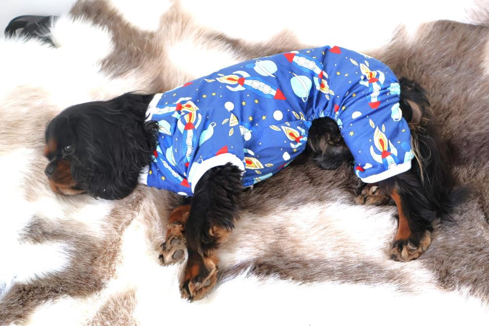 a cute dog sleeping with his pajamas