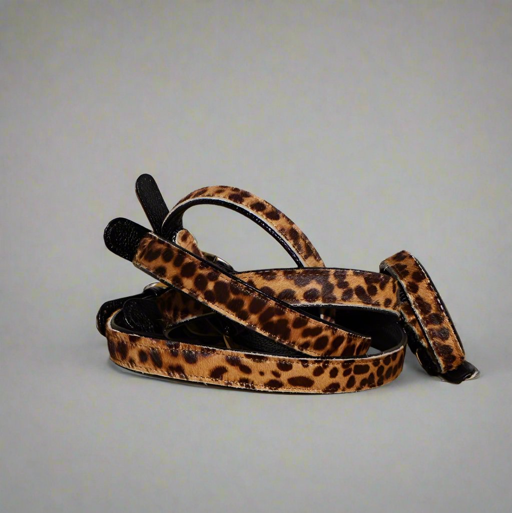 leopard dog collar