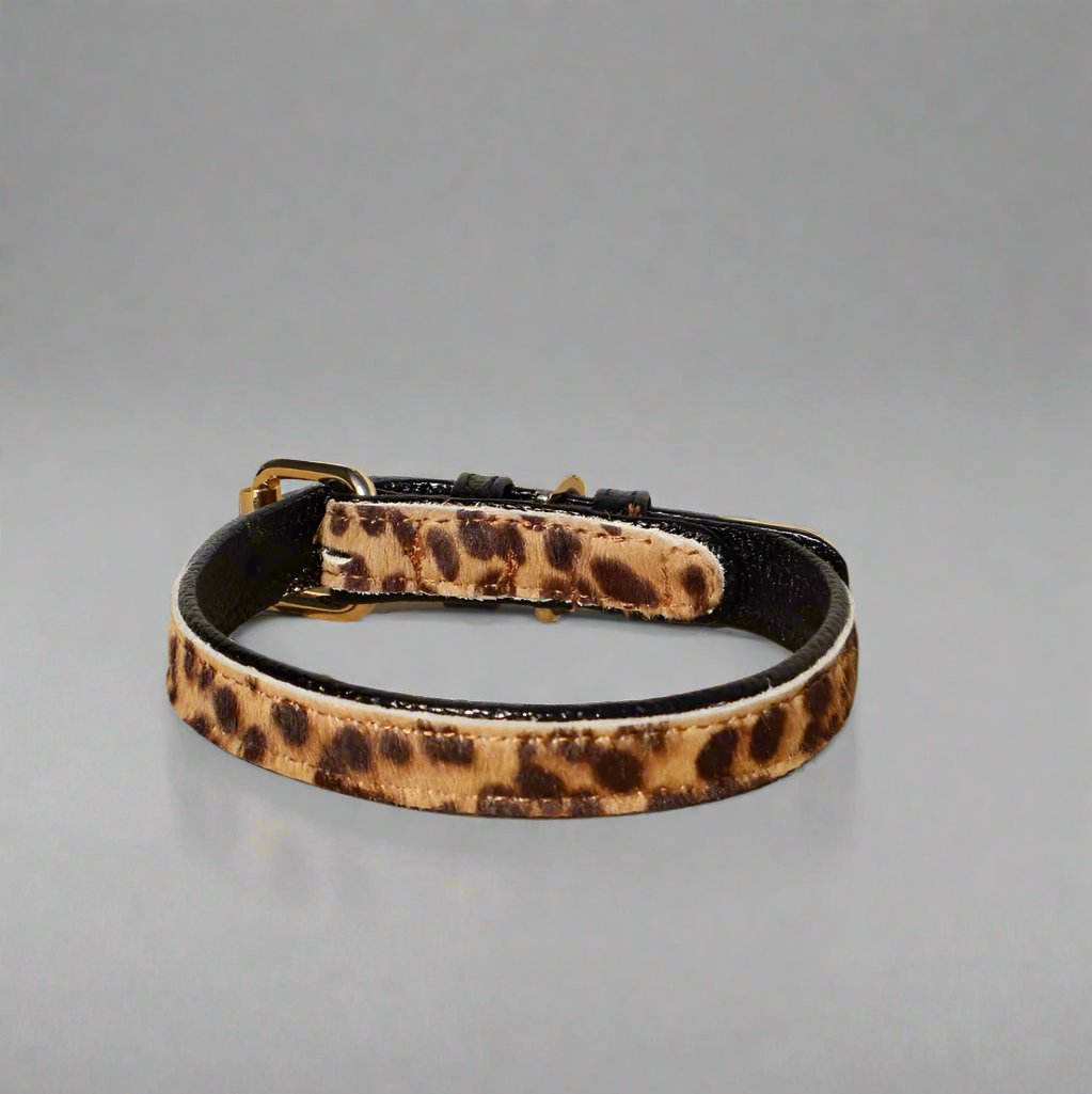 dog collar in black leather with leopard pony overlay