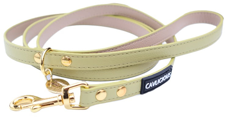 VEGAN Leash Cavlicious dog leash vegan leather pickle 