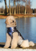 SPORT Jacket Big Dogs Cavlicious 