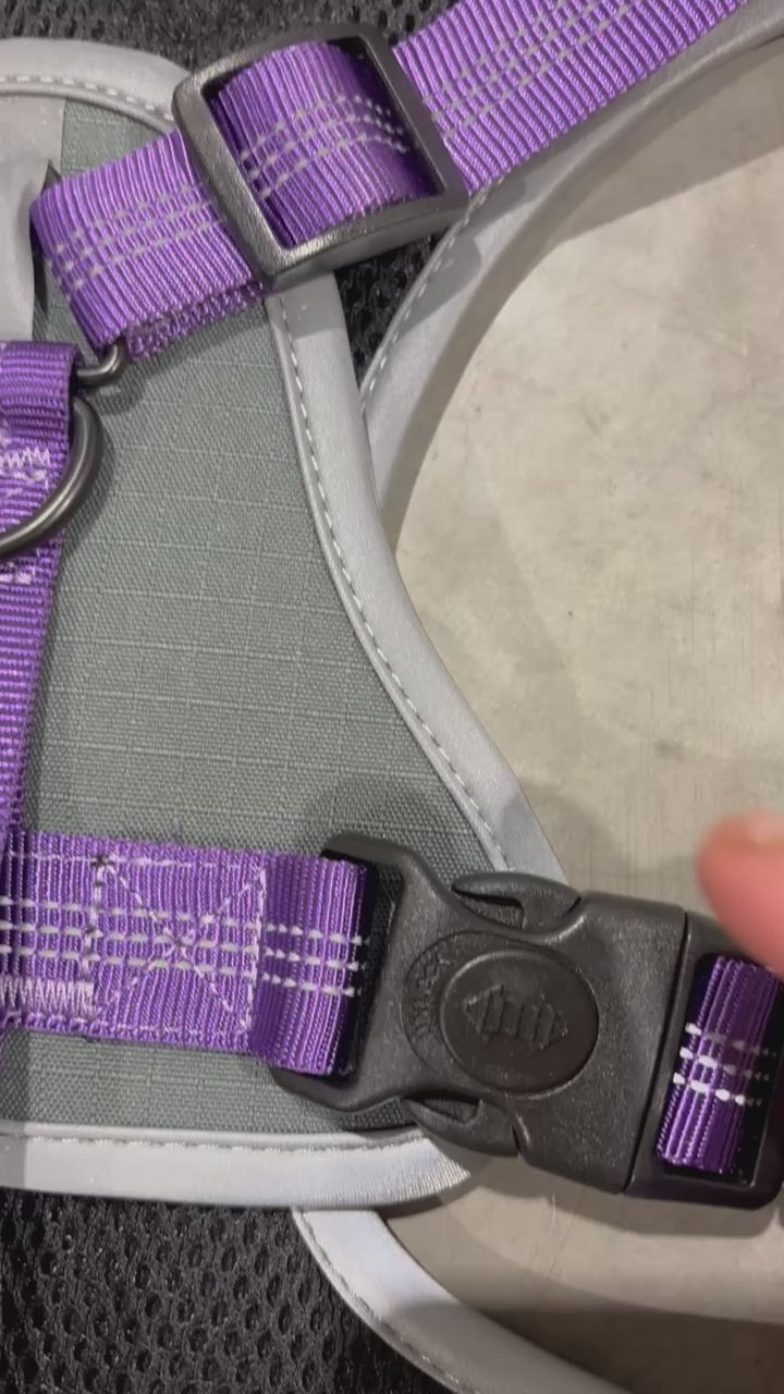 bold and brave harness safety buckle demo