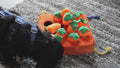 dog playing with the dog carrot puzzle