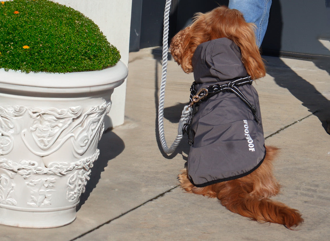 dog raincoat with built in harness. closes with hook-and-loop. fully lined. with hood. For small dogs. 