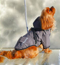 dog raincoat with built in harness. closes with hook-and-loop. fully lined. with hood. For small dogs. 