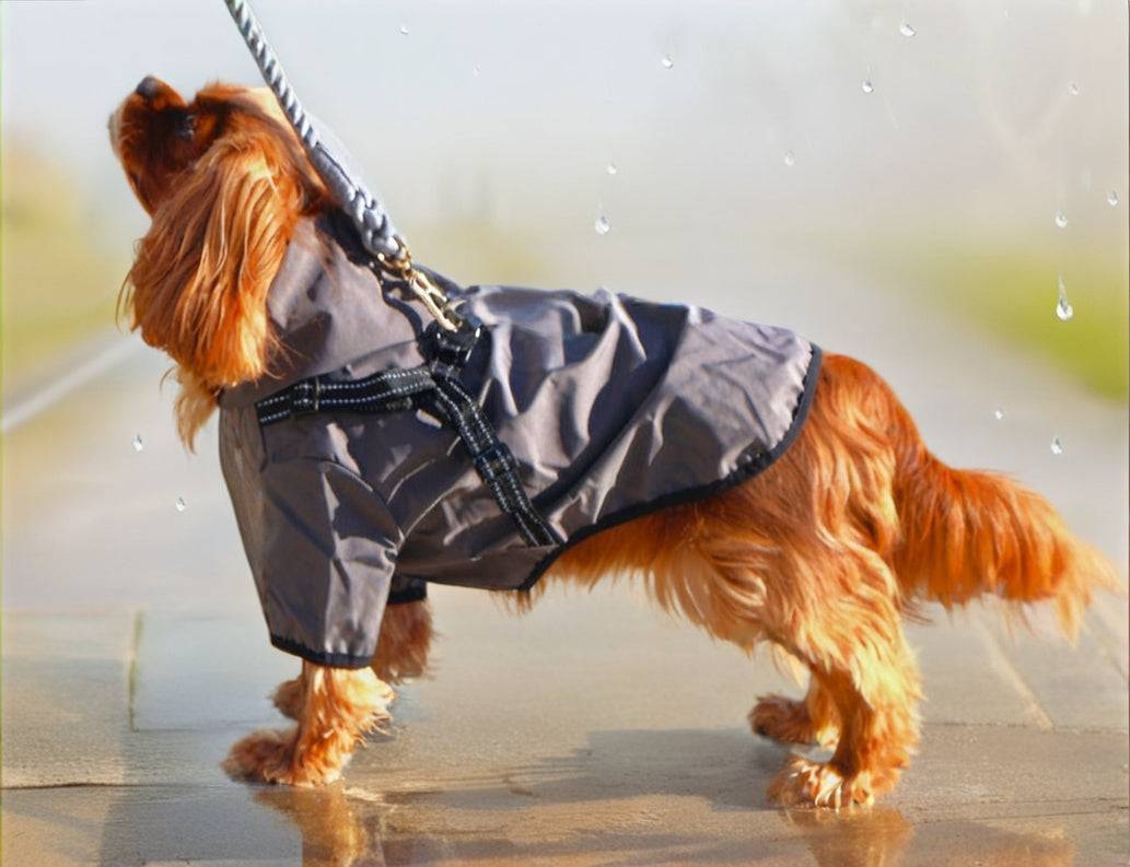 dog raincoat with built in harness. closes with hook-and-loop. fully lined. with hood. For small dogs. 