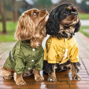 Rain Coat Cavlicious Cavlicious EUR Belgium green S green / S green / M green / L green / XL green / XXL yellow / S yellow / M yellow / L yellow / XL yellow / XXL 08522429097558 08522429130326 08522429163094 08522429195862 08522429228630 08522429261398 08522429294166 08522429326934 08522429359702 08522429392470