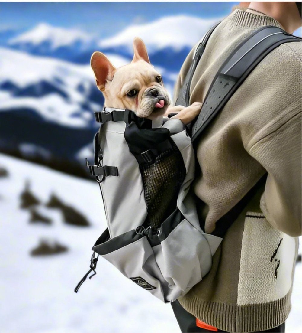 comfy and sturdy Cavlicious Air Dog Backpack. Lots of straps and pockets. Side mesh for extra ventilation. Padded shoulder straps. Ergonomic design. 