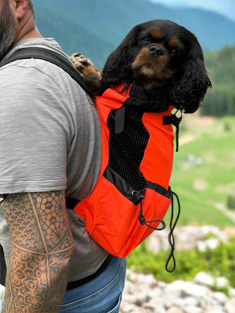 comfy and sturdy Cavlicious Air Dog Backpack. Lots of straps and pockets. Side mesh for extra ventilation. Padded shoulder straps. Ergonomic design. 