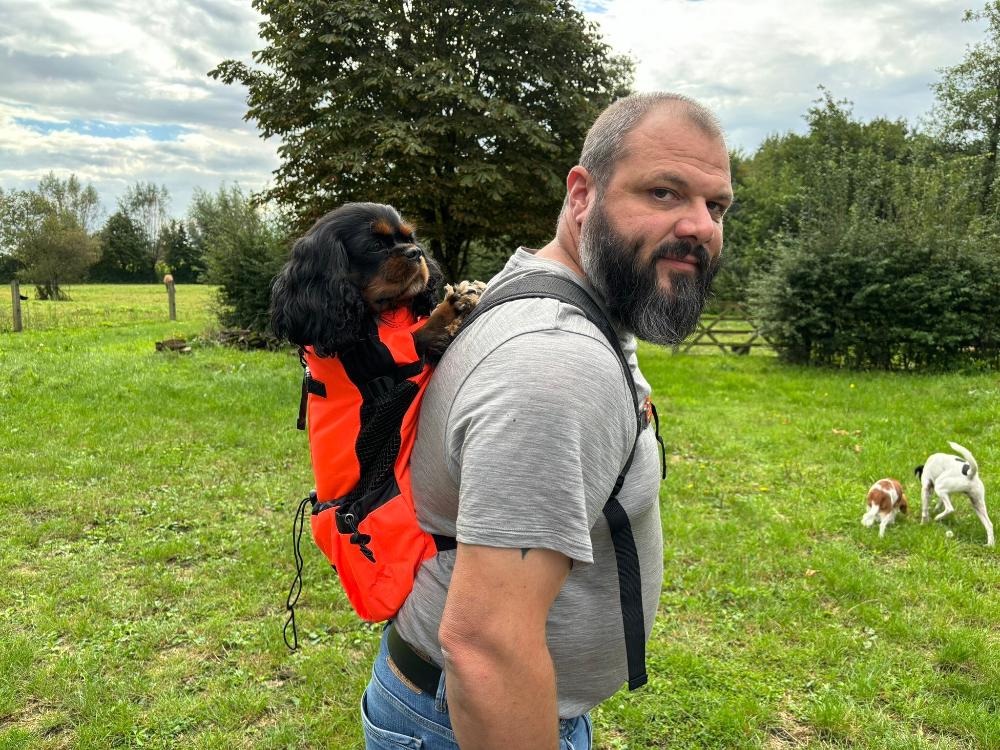 comfy and sturdy Cavlicious Air Dog Backpack. Lots of straps and pockets. Side mesh for extra ventilation. Padded shoulder straps. Ergonomic design. 