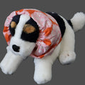 a plush cavalier king charles wearing a colorful cotton dog snood