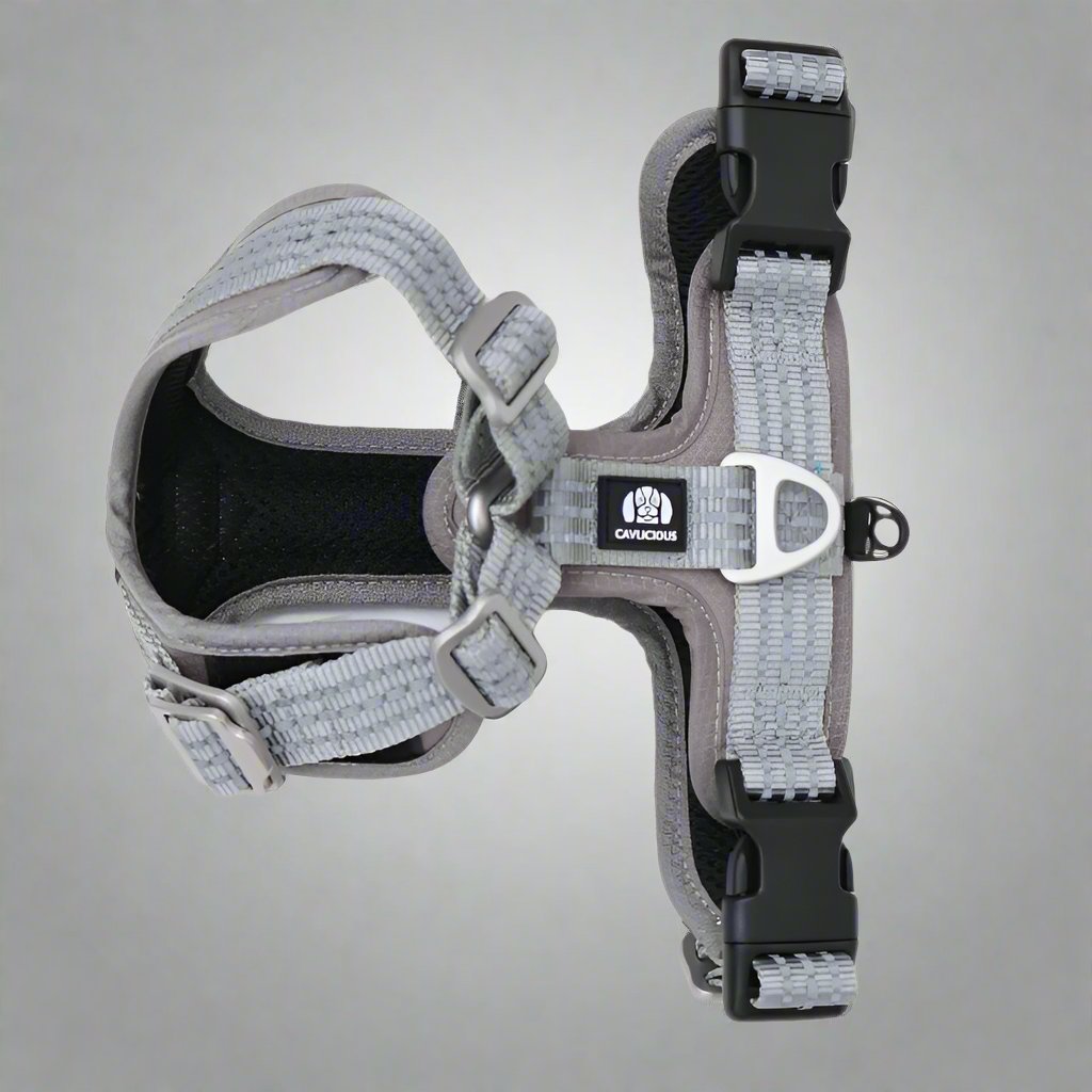 SPORT Dog Harness Cavlicious Grey