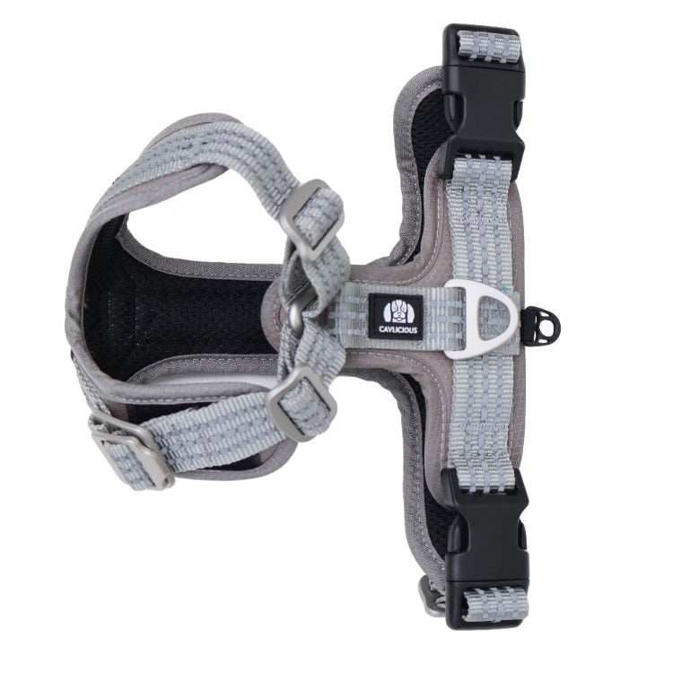 SPORT Dog Harness Cavlicious Grey