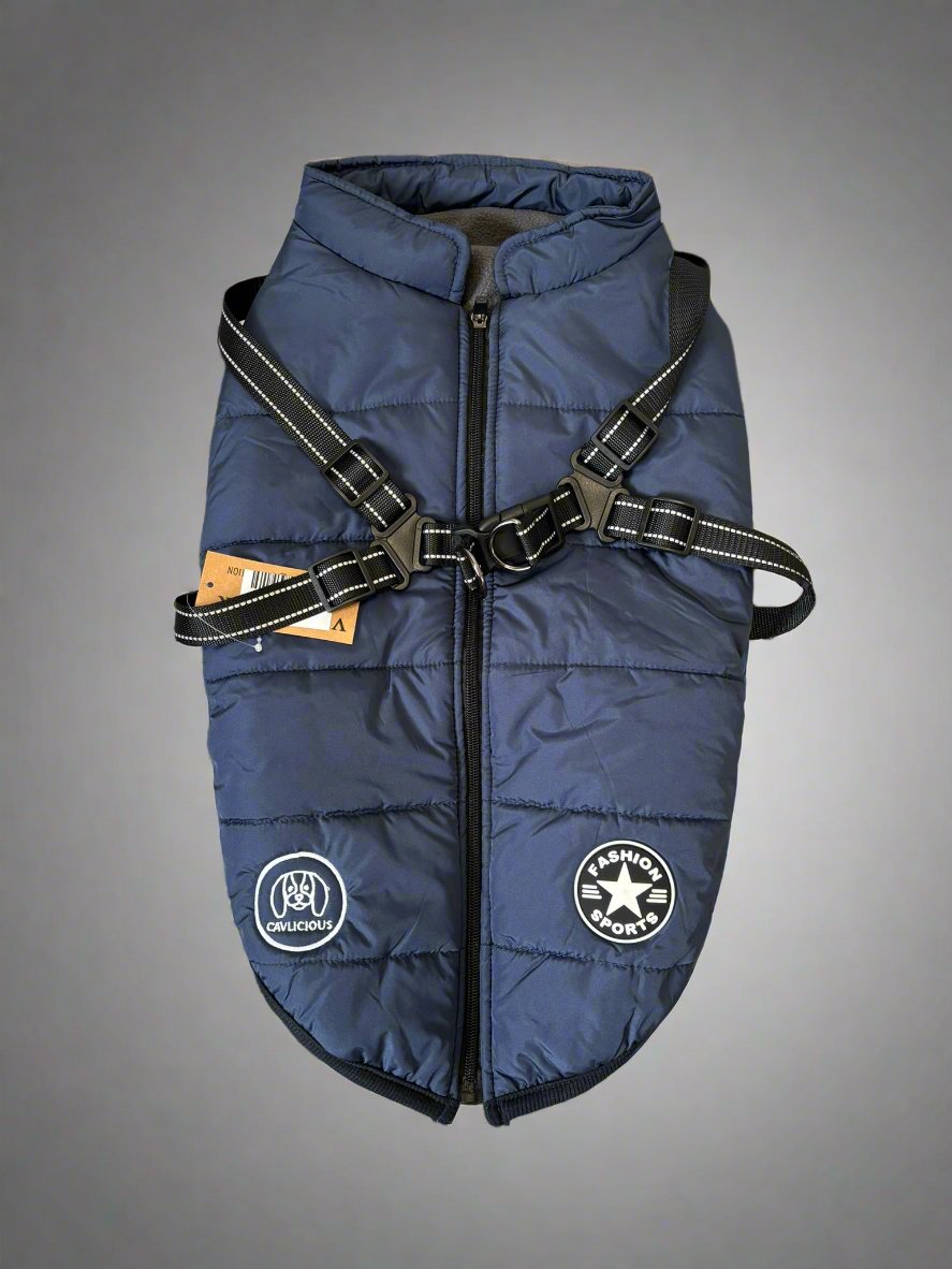 water- and windproof jacket, step in design, closes with zipper on back, with built-in harness