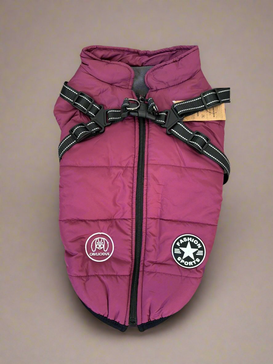 water- and windproof jacket, step in design, closes with zipper on back, with built-in harness