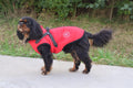 The SPORT DOG JACKET SMALL DOGS is a versatile and comfortable solution for active dogs. This jacket features a built-in harness, fleece lining for warmth, and elastic belly panel for a secure fit. With its 4 available colors, this jacket is perfect for any adventure with your furry companion.