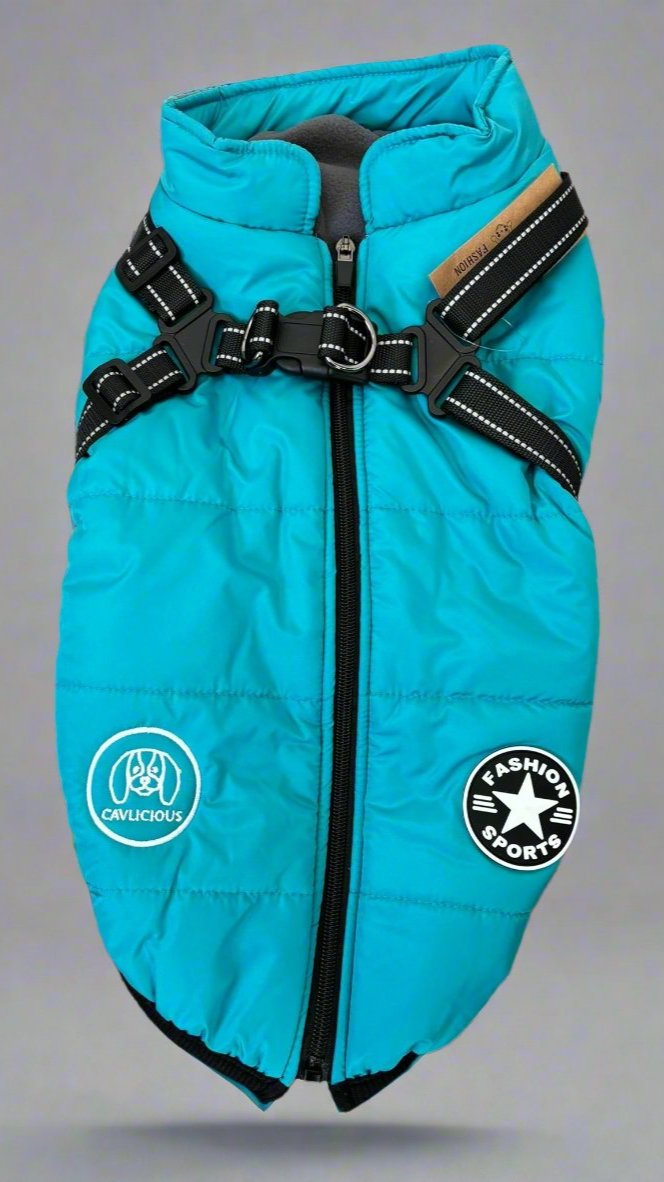 water- and windproof jacket, step in design, closes with zipper on back, with built-in harness