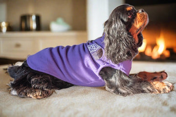 The Dog Face Fleece Sweater The Dog Face Fleece Sweater Cavlicious Brown / S Brown / M Brown / L Brown / XL Brown / XXL Purple / S Purple / M Purple / L Purple / XL Purple / XXL Green / S Green / M Green / L Green / XL Green / XXL Pink / S Pink / M Pink / L Pink / XL Pink / XXL