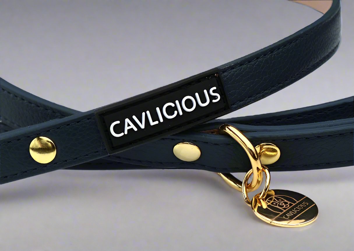 VEGAN Leash Cavlicious vegan leather blue dog leash