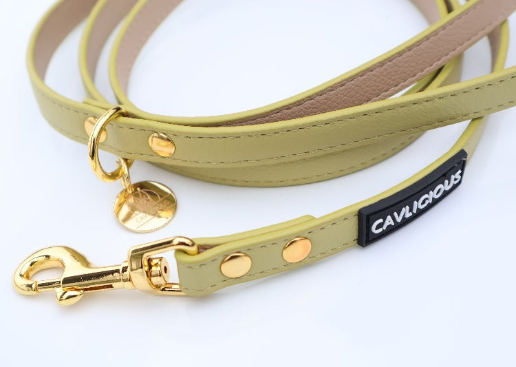 VEGAN Leash Cavlicious vegan leather dog leash detail pickle